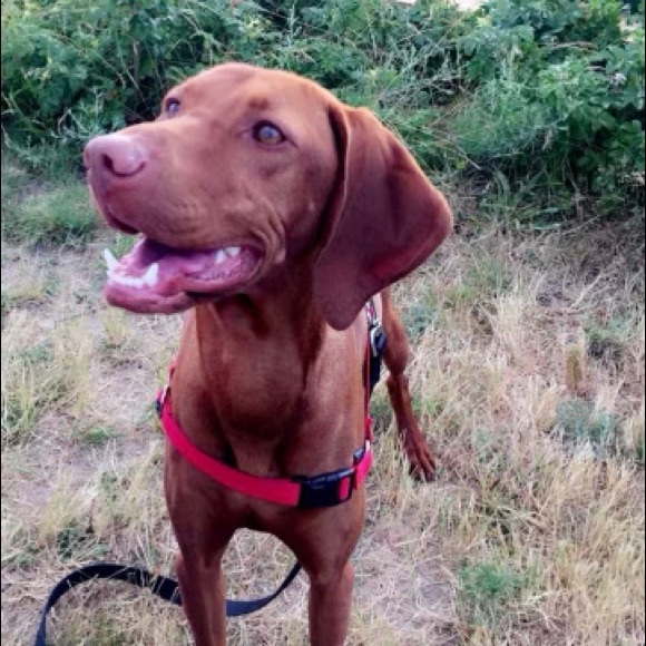 Welcome To My Plethora Of Stuff! - Picture 3 of 6